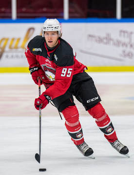 Malmö Redhawks Carl Persson