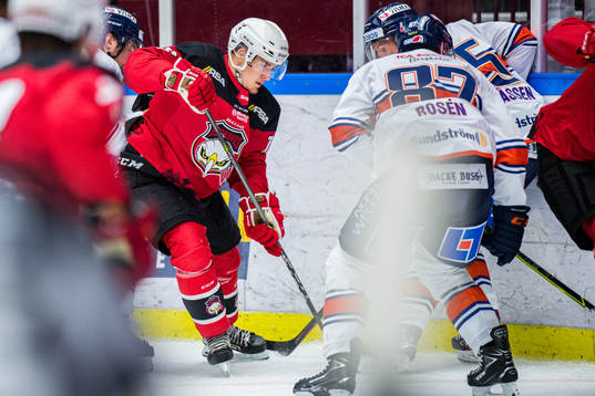 Malmö Redhawks Alexander Malinowski