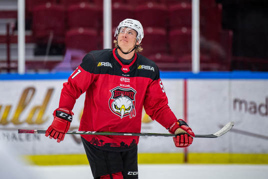 Malmö Redhawks Emil Sylvegård deppar
