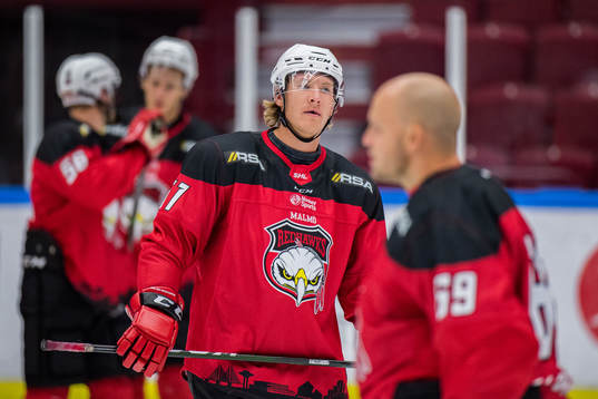 Malmö Redhawks Emil Sylvegård deppar