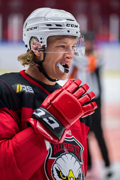 Malmö Redhawks Emil Sylvegård