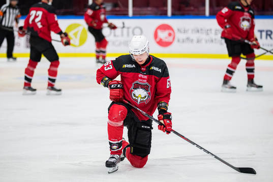 Malmö Redhawks Fredrik Händemark deppar