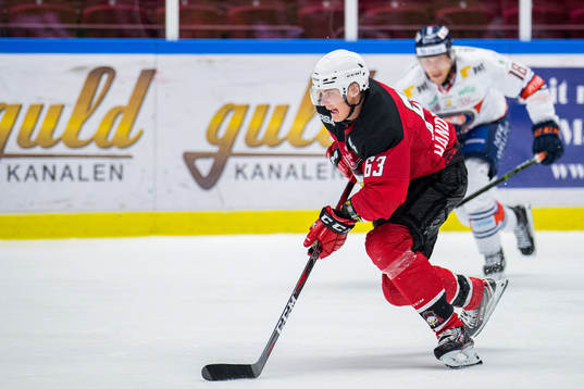 Malmö Redhawks Fredrik Händemark