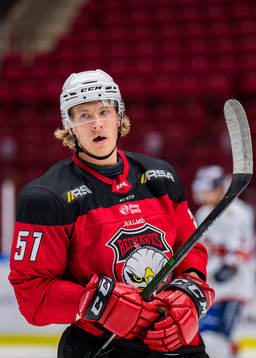Malmö Redhawks Emil Sylvegård