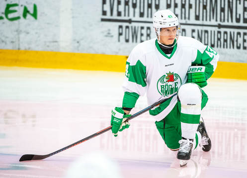 Rögles Olli Palola