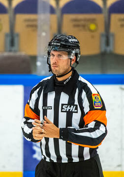 Domare Johan Magnusson