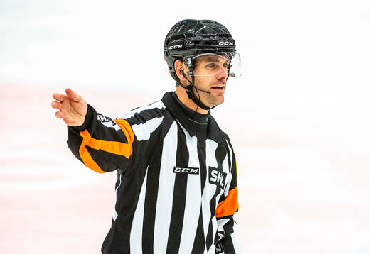 Domare Richard Magnusson