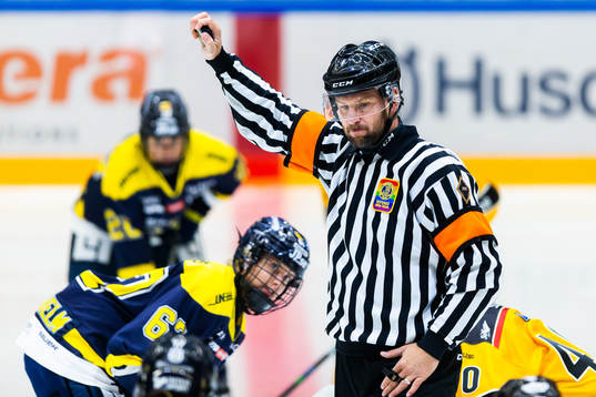 Domare Jim Bergqvist