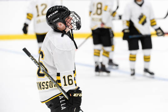 s Lisa Johansson deppar