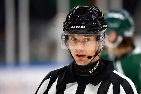 Domare Mikael Andersson