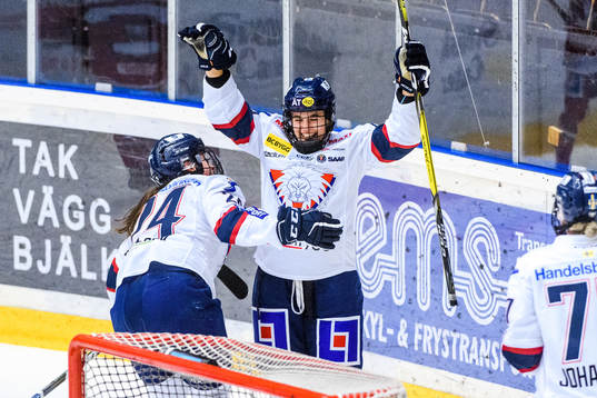 Linköpings spelare jublar