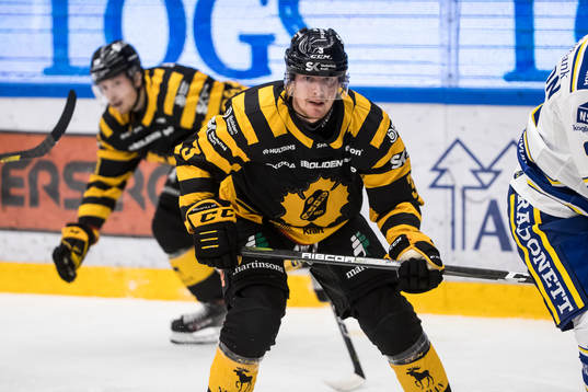 Skellefteås Niclas Burström
