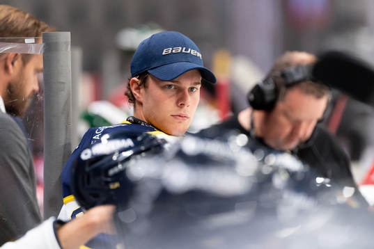 s målvakt Hugo Alnefelt