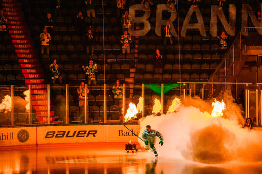 Bläddra bland fler bilder av Ishockey, SHL, Rögle - Linköping