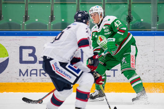 Rögles Olli Palola
