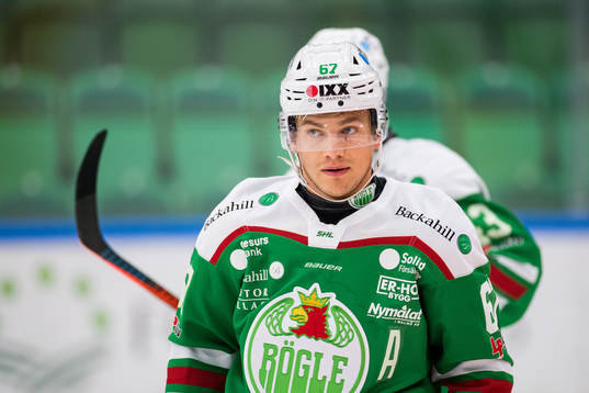 Rögles Leon Bristedt
