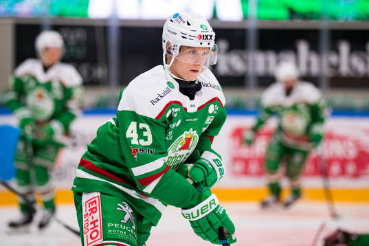 Rögles Olli Palola