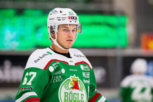 Rögles Leon Bristedt