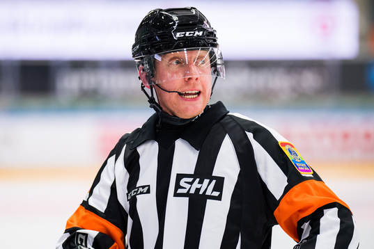 Domare Mikael Holm