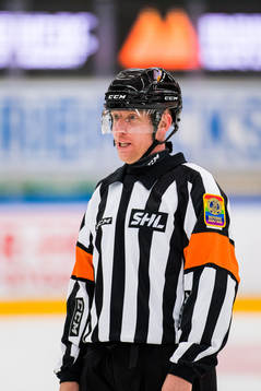 Domare Mikael Holm