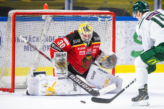 Luleås målvakt David Rautio