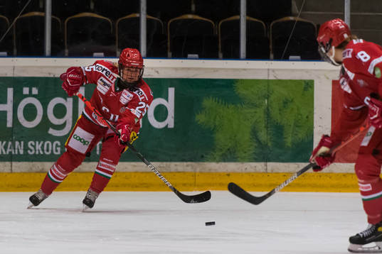 Modos Maja Grundström