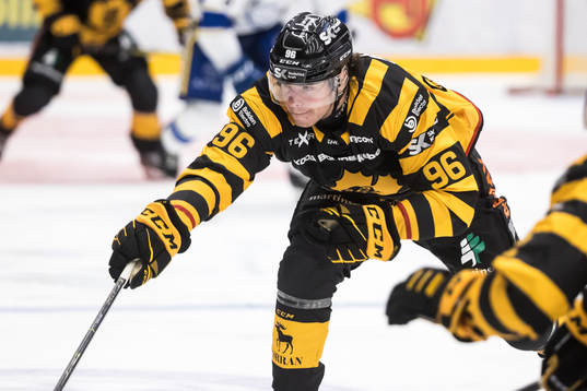 Skellefteås Rickard Hugg