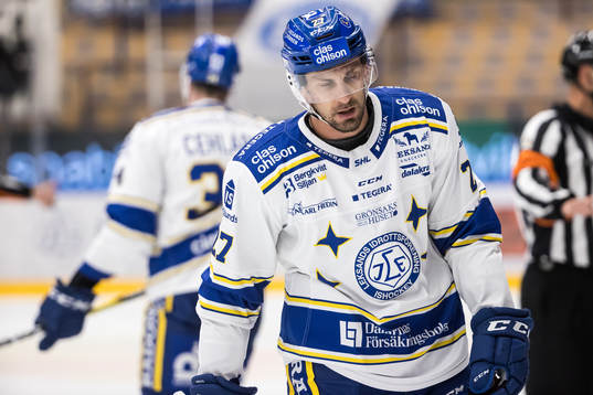 Leksands Marek Hrivík