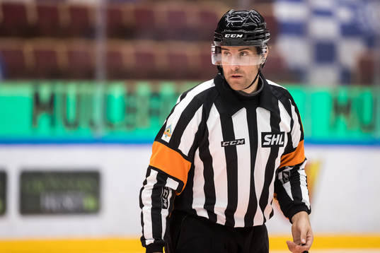 Domare Mikael Sjökvist