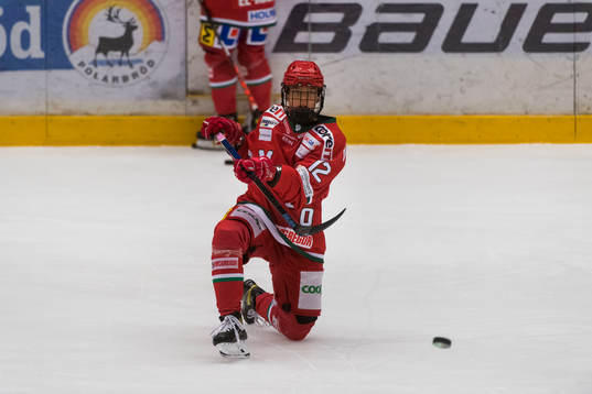 Modos Mina Waxin innan ishockeymatchen i SDHL mellan Modo
