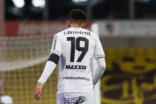 Häckens Daleho Irandust med svart armbindel för att hedra