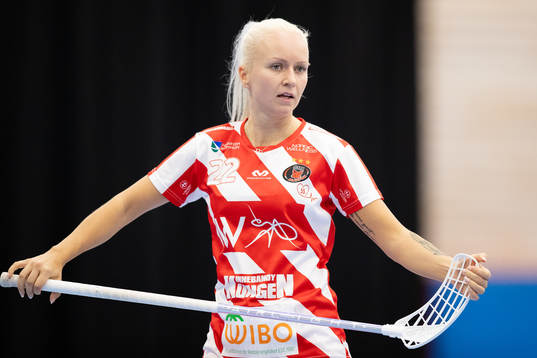 Pixbos Laura Manninen
