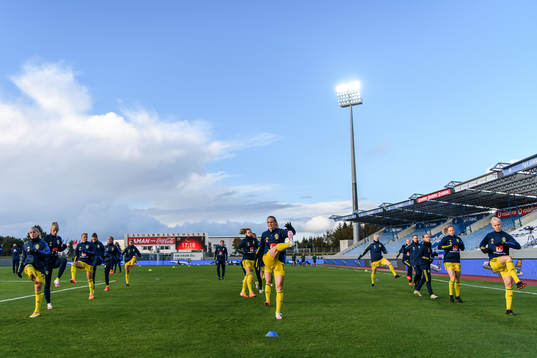 Players of Sweden
