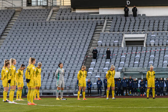 Players of Sweden
