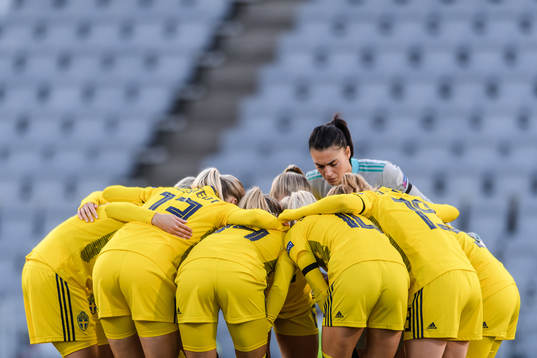 Players of Sweden