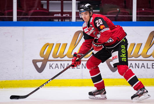 Malmö Redhawks Helge Grans