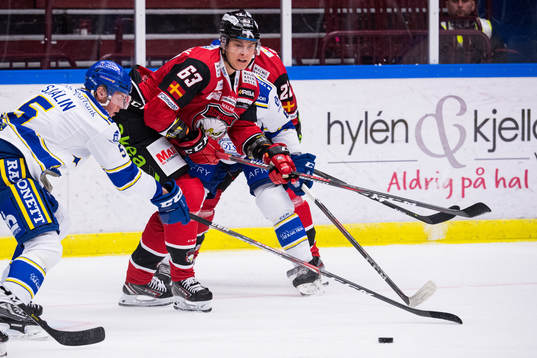 Malmö Redhawks Fredrik Händemark