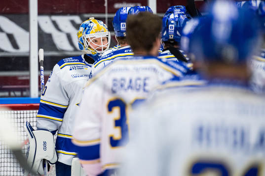 Leksands spelare jublar med målvakt Janne Juvonen