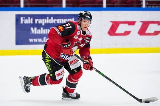 Malmö Redhawks Emil Sylvegård