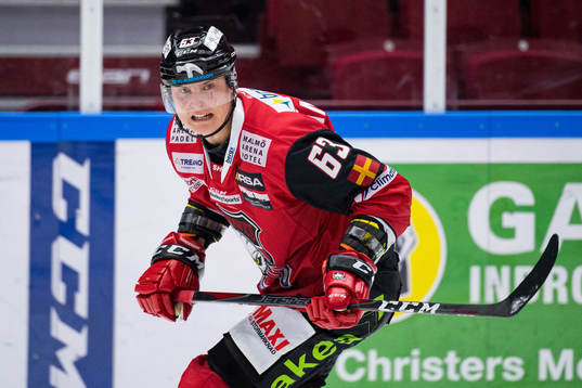 Malmö Redhawks Fredrik Händemark