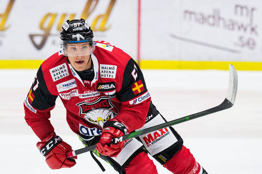 Malmö Redhawks Emil Sylvegård