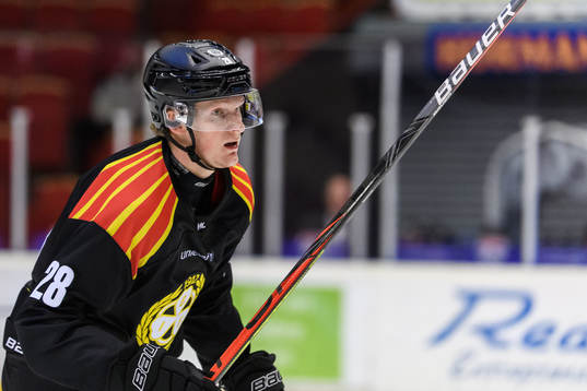 Brynäs Oskar Kvist