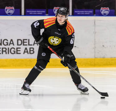Brynäs Tom Hedberg