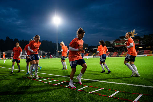Älvsjös spelare