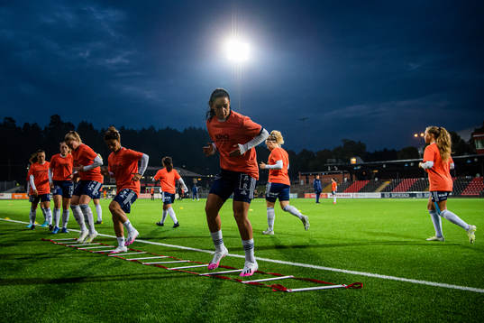 Älvsjös spelare