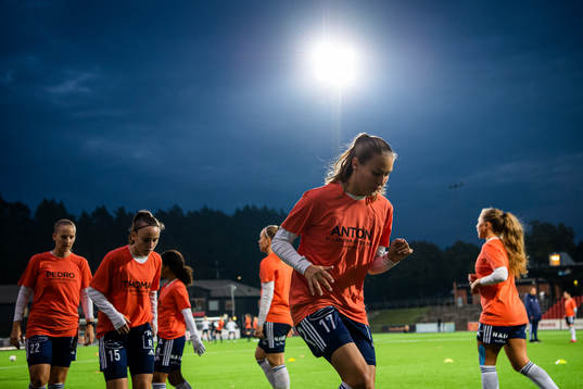 Älvsjös spelare