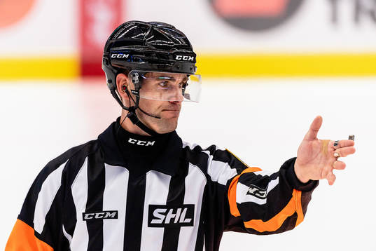 Domare Richard Magnusson