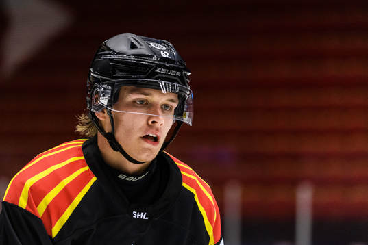 Brynäs Tom Hedberg