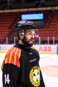Brynäs Johan Alcén