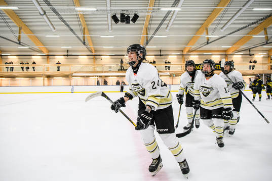 Bläddra bland fler bilder av Ishockey, SDHL, AIK - SDE